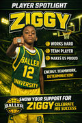 Support Ziggy